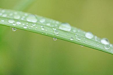 EA打造新足球手游《EA SPORTS FC TACTICAL》